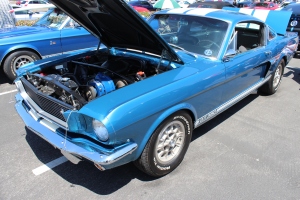 Paxton Ball Drive Supercharged Shelby GT350